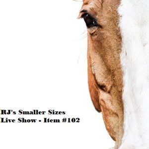 102 - Cabi Women's Zippered Long Sleeve Top Size S Pink